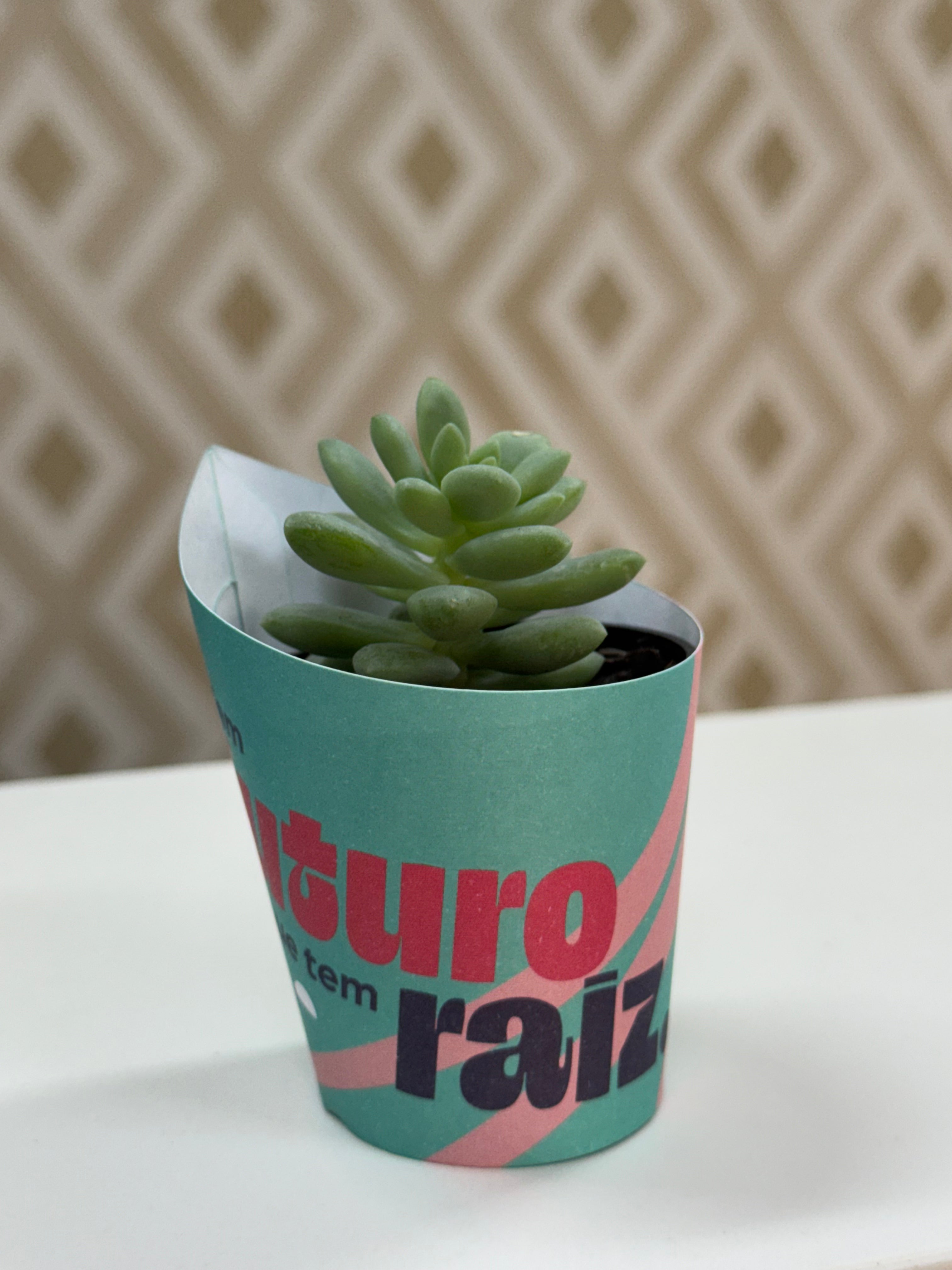 Rótulo para Mini Suculenta Vaso N6