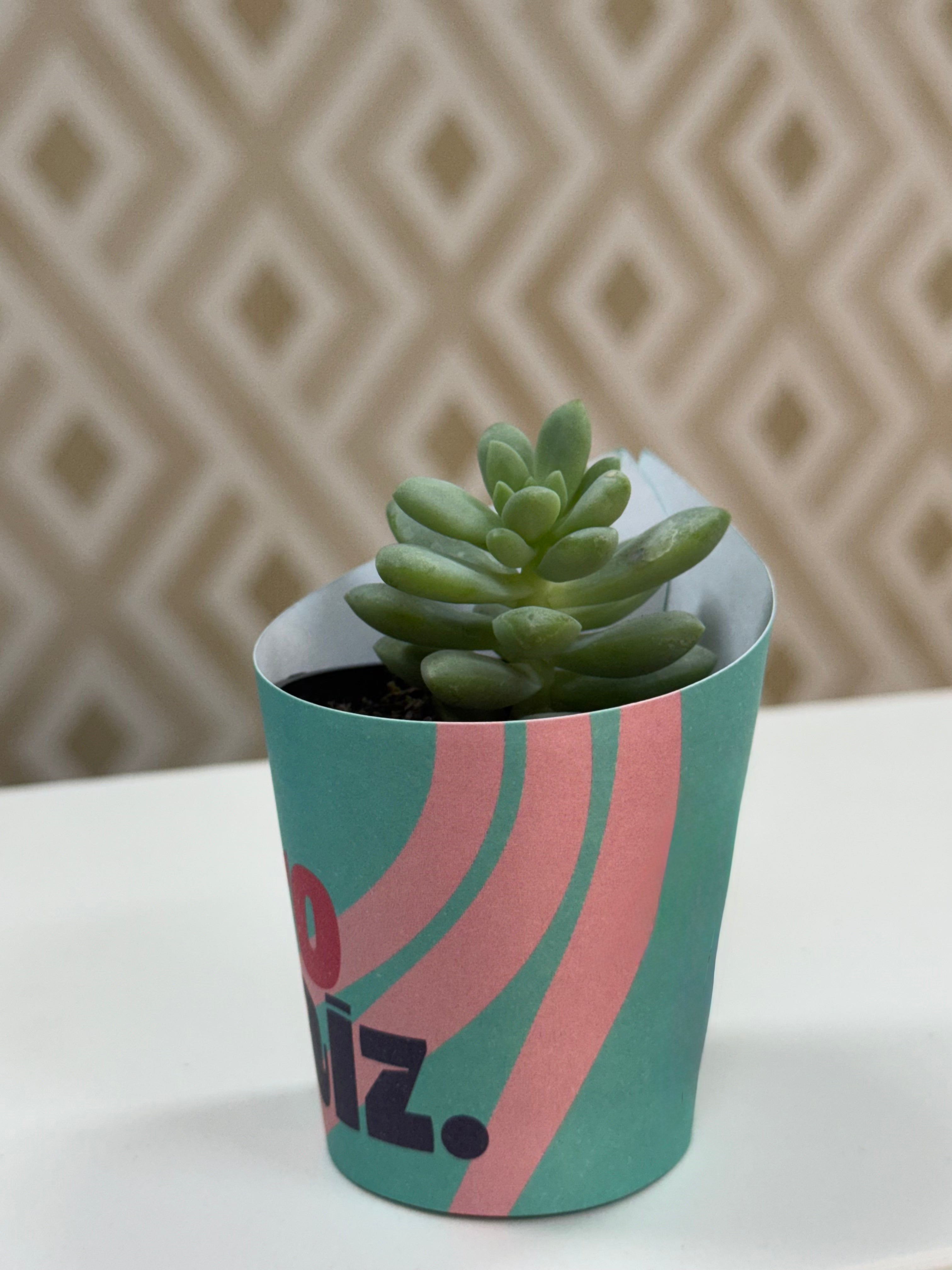Rótulo para Mini Suculenta Vaso N6