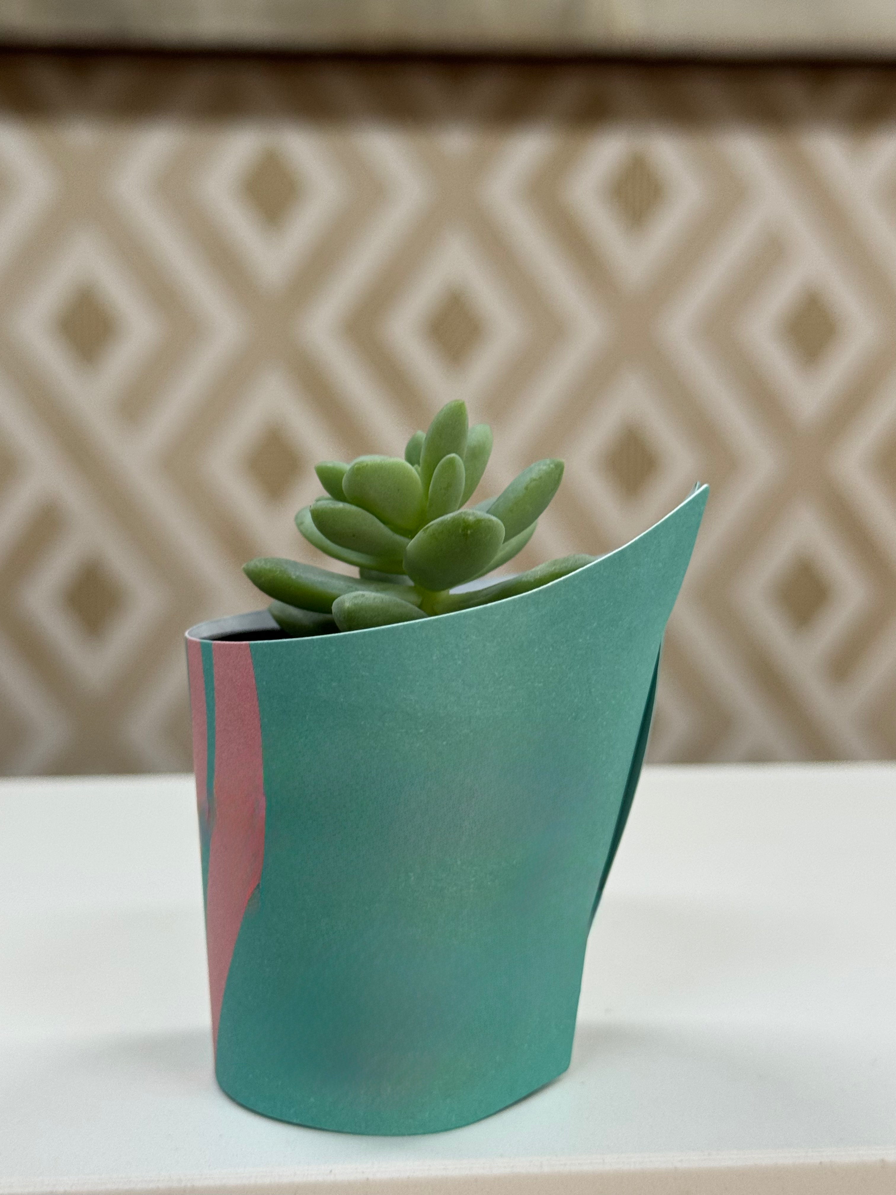 Rótulo para Mini Suculenta Vaso N6